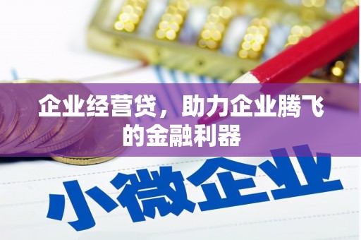 文安企业经营贷，助力企业腾飞的金融利器