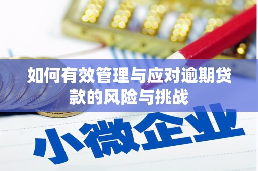 文安如何有效管理与应对逾期贷款的风险与挑战