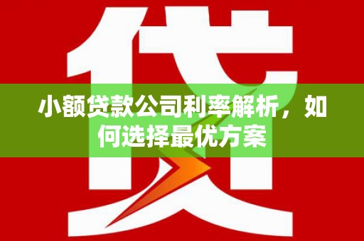 文安小额贷款公司利率解析，如何选择最优方案