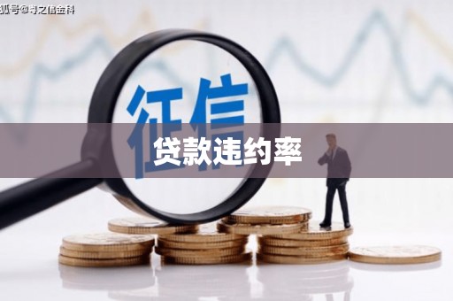文安贷款违约率