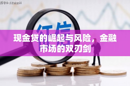 文安现金贷的崛起与风险，金融市场的双刃剑