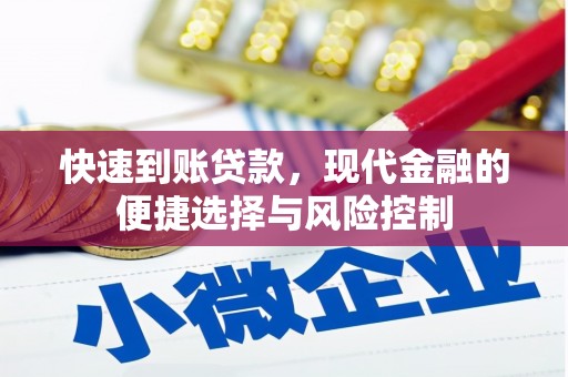 文安快速到账贷款，现代金融的便捷选择与风险控制