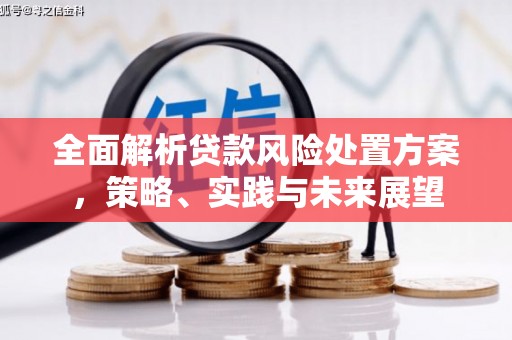 文安全面解析贷款风险处置方案，策略、实践与未来展望
