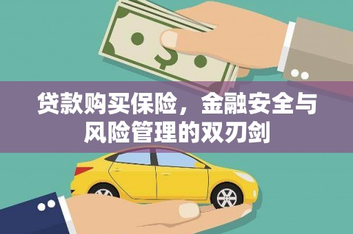文安贷款购买保险，金融安全与风险管理的双刃剑