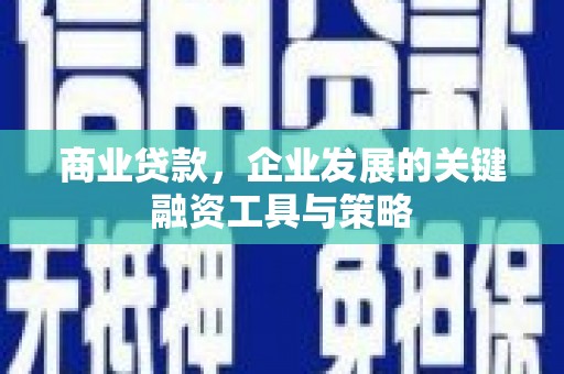 文安商业贷款，企业发展的关键融资工具与策略