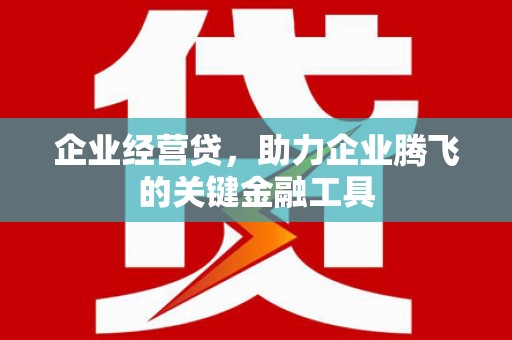 文安企业经营贷，助力企业腾飞的关键金融工具