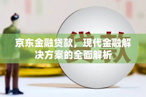 文安京东金融贷款，现代金融解决方案的全面解析
