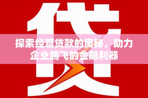 文安探索经营贷款的奥秘，助力企业腾飞的金融利器