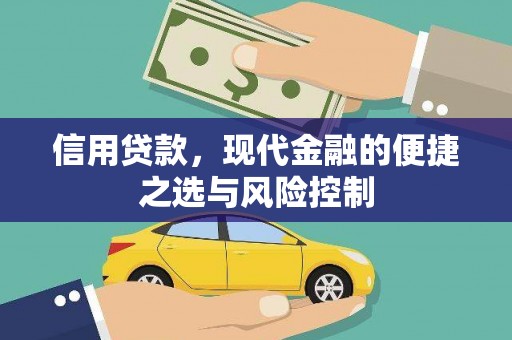 文安信用贷款，现代金融的便捷之选与风险控制