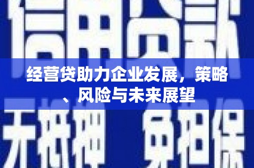文安经营贷助力企业发展，策略、风险与未来展望