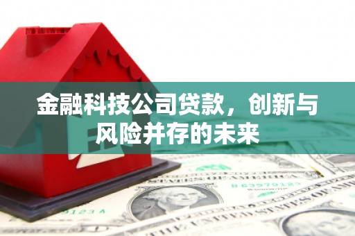 文安金融科技公司贷款，创新与风险并存的未来