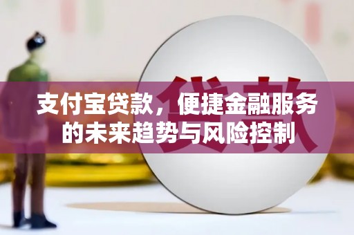 文安支付宝贷款，便捷金融服务的未来趋势与风险控制