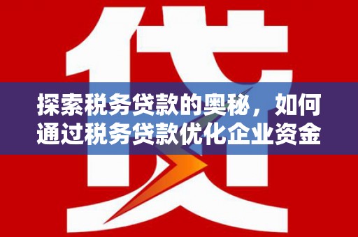 文安探索税务贷款的奥秘，如何通过税务贷款优化企业资金流