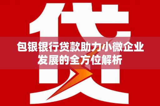 文安包银银行贷款助力小微企业发展的全方位解析 文安包银银行贷款助力小微企业发展的全方位解析