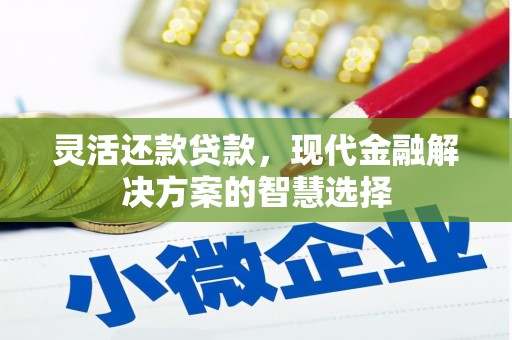 文安灵活还款贷款，现代金融解决方案的智慧选择