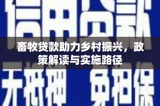 文安畜牧贷款助力乡村振兴，政策解读与实施路径