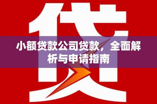 文安小额贷款公司贷款，全面解析与申请指南