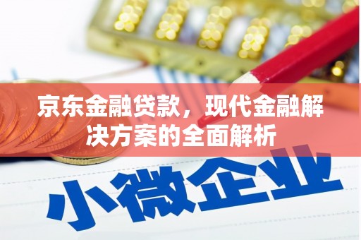 文安京东金融贷款，现代金融解决方案的全面解析