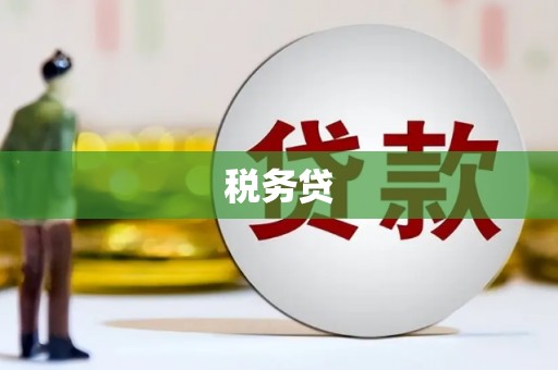 文安税务贷
