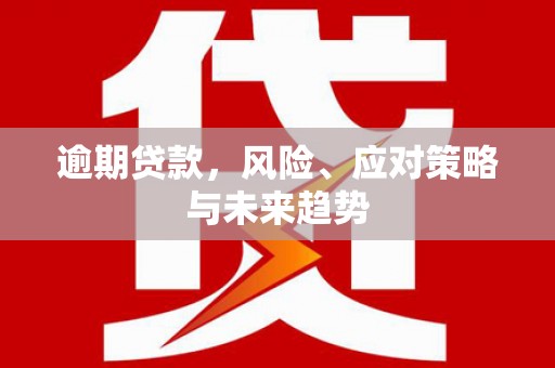 文安逾期贷款，风险、应对策略与未来趋势