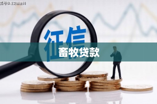 文安畜牧贷款