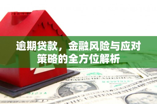 文安逾期贷款，金融风险与应对策略的全方位解析