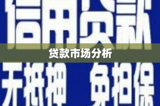 文安贷款市场分析