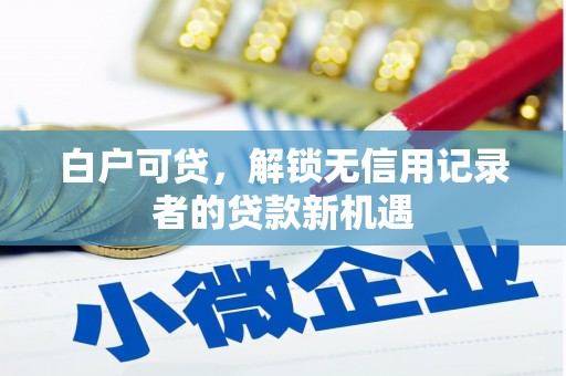 文安白户可贷，解锁无信用记录者的贷款新机遇