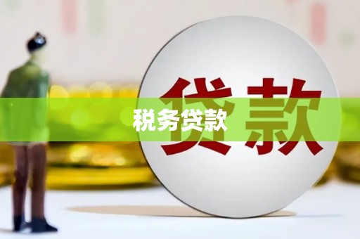 文安税务贷款