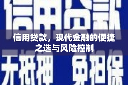 文安信用贷款，现代金融的便捷之选与风险控制