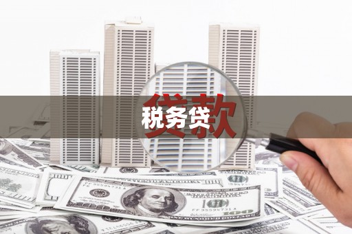 文安税务贷