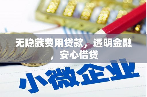 文安无隐藏费用贷款，透明金融，安心借贷