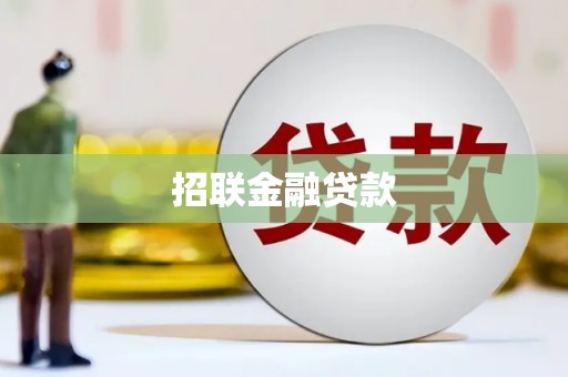 文安招联金融贷款