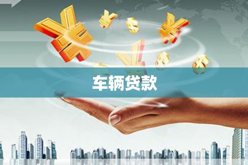 文安车辆贷款