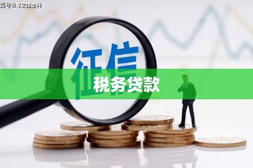 文安税务贷款