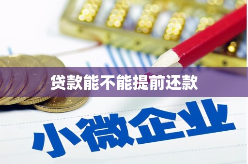 文安贷款能不能提前还款