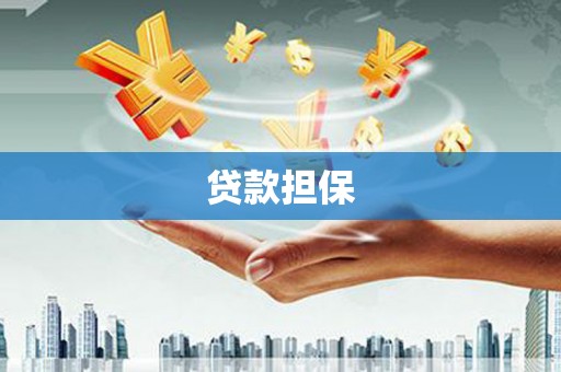 文安贷款担保