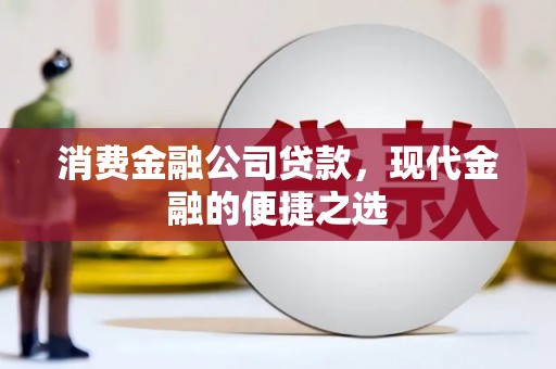 文安消费金融公司贷款，现代金融的便捷之选