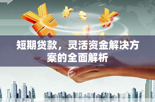 文安短期贷款，灵活资金解决方案的全面解析