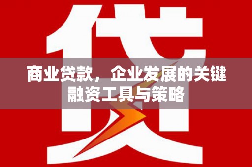 文安商业贷款，企业发展的关键融资工具与策略