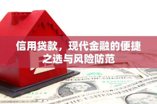 文安信用贷款，现代金融的便捷之选与风险防范