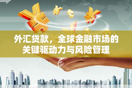 文安外汇贷款，全球金融市场的关键驱动力与风险管理