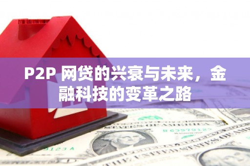 文安P2P 网贷的兴衰与未来，金融科技的变革之路