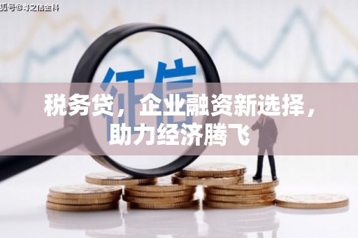 文安税务贷，企业融资新选择，助力经济腾飞
