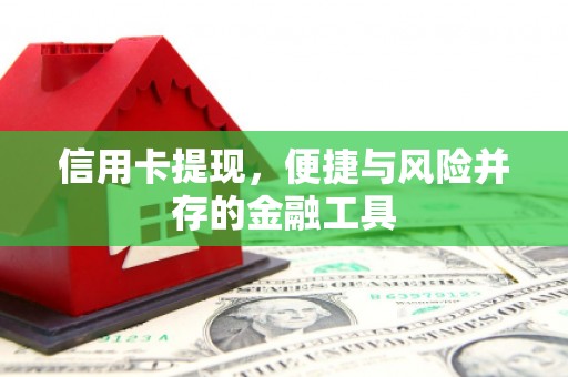 文安信用卡提现，便捷与风险并存的金融工具