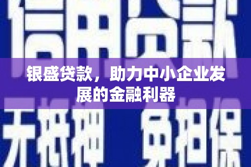 文安银盛贷款，助力中小企业发展的金融利器