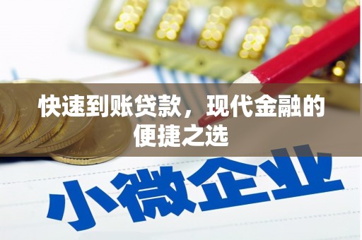 文安快速到账贷款，现代金融的便捷之选
