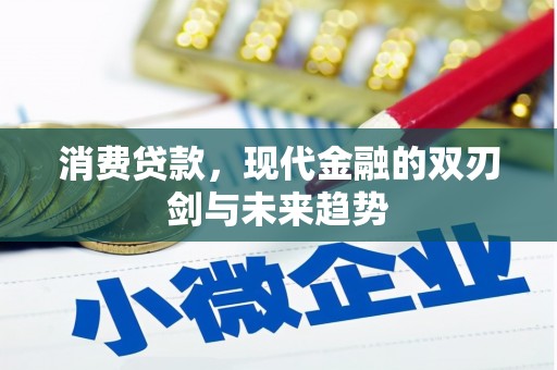 文安消费贷款，现代金融的双刃剑与未来趋势