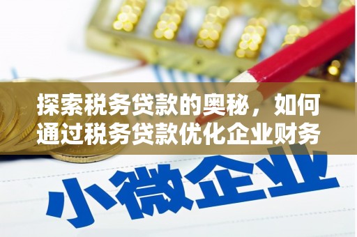文安探索税务贷款的奥秘，如何通过税务贷款优化企业财务