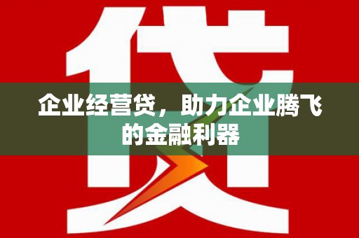 文安企业经营贷，助力企业腾飞的金融利器